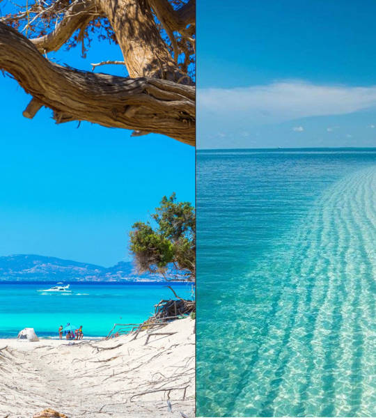 Trend Touristic Chrissi Island